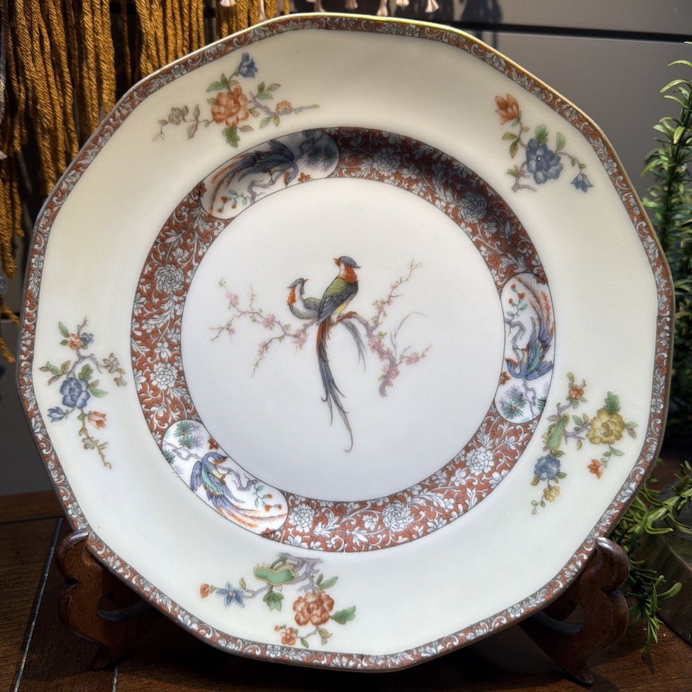 Theodore Haviland Limoges France Paradise Dinner Plate Stunning Classic VTG